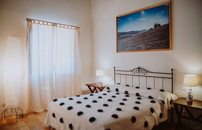 Tenuta Pianirossi - Photo 4