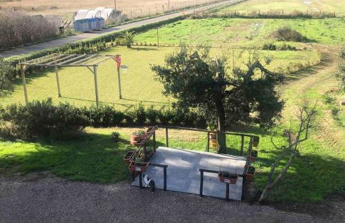 Agriturismo Il Sorbino - Appartamento da Cocca - Foto 12