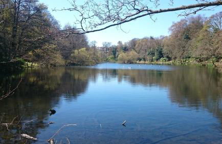 Violet Bank Apartment Morningside - Foto 25