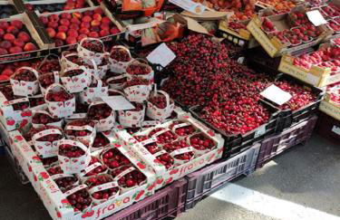 Mipro mobilhome 6 - Foto 52