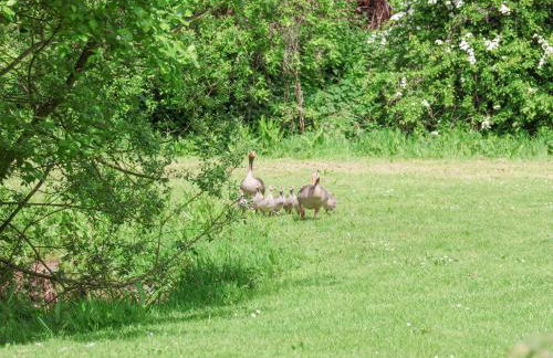 Pheasant Cottage - Foto 21