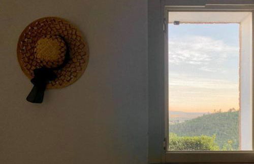 Podere San Martino - Foto 19