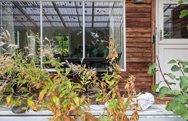 4 Person Holiday Home in Mesinge-by Traum - Foto 20