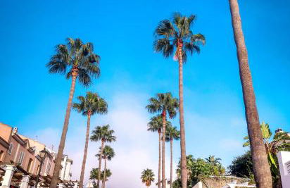 Casa Serena - Foto 40