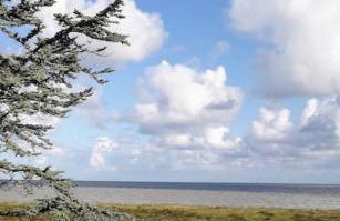 Vue mer pour une escale en baie du Mt-St-Michel - Foto 3