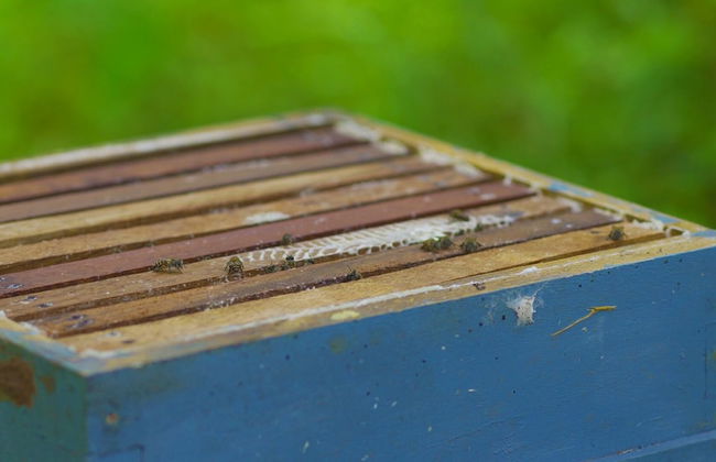 Indira Farms - Foto 34