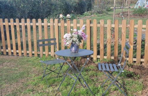 LA PETITE SALAMANDRE des Conches - Foto 15