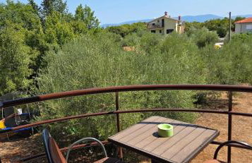 Apartments Juretic - Photo 17