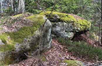 Ferienhaus Töpferblick-Hartau - Foto 56