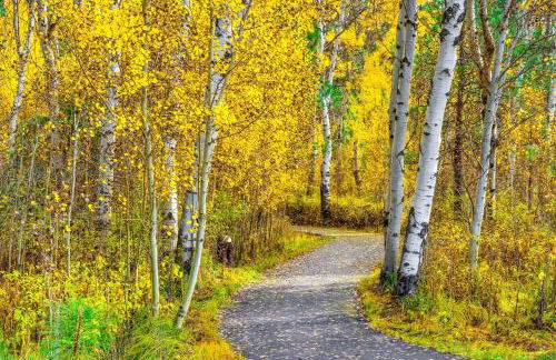 Fairway Haven - Foto 56