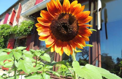 Bienvenue à La Sélinière ! - Foto 32