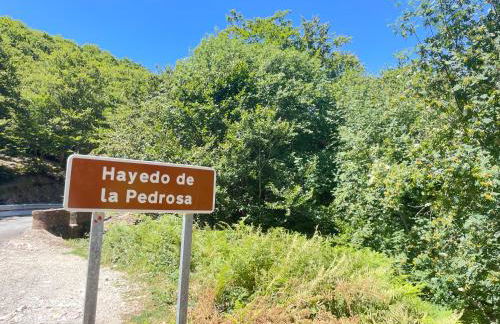 Apartamento Marcajada - Foto 34