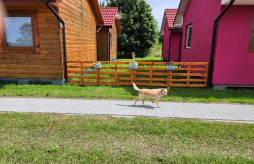 Domki Letniskowe U Żuni - Foto 29