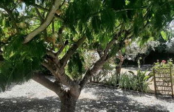 A CASA FRANCESA - Foto 62