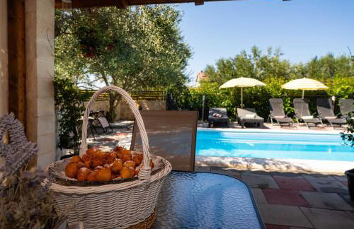 MY DALMATIA - Holiday home Olive Garden with private swimming pool - Photo 49