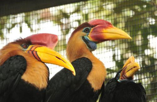 Cobalt Cottage History at your doorstep - Foto 60