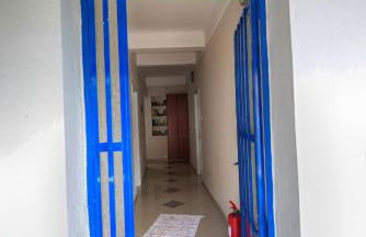 Plumeria Flowery - Foto 27