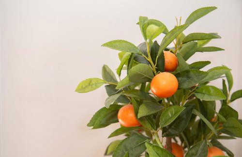 Casa Di Famiglia - Foto 36