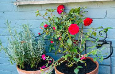 Super Host Large Luxury Cottage South Downs Park - Foto 12