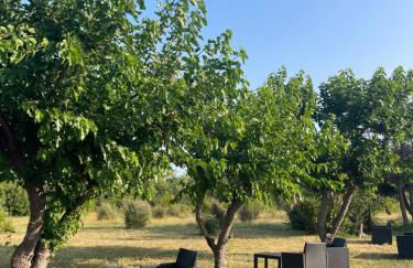 Palauma Plage - Foto 40