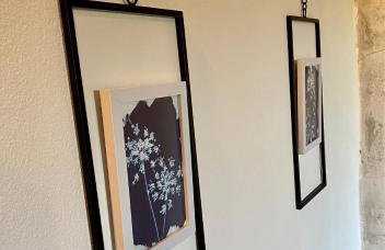 Lucky Home - Apartment Art Grožnjan - Foto 10