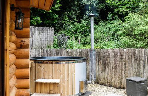 Wilderness Lodge - Foto 17