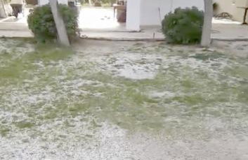 Breathtaking Sea View by the beach - Photo 23