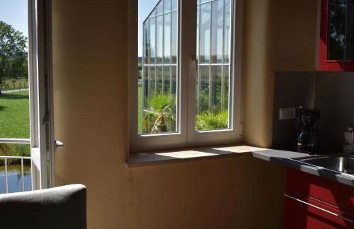 Palmengarten - Foto 50