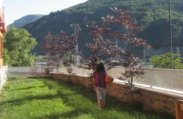 La Faiada - Photo 18