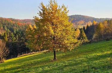 Kraina Rysia - Photo 36