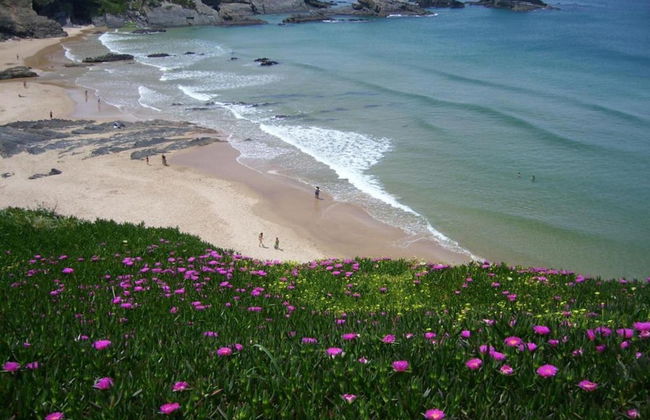 Quiet & Cottage in Estate Casas da Cerca near Troviscais - Foto 26