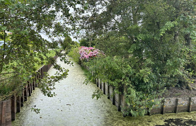 3 bedroom House in Noordwijk with garden and terrace - Photo 11