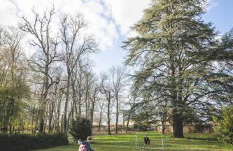 Le gite de l'olivier - Foto 16