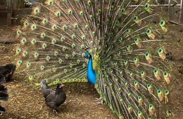 Private Lake House - Foto 41