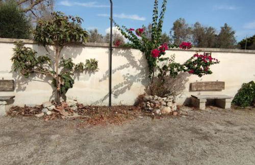 Ville Scelsa - Foto 20