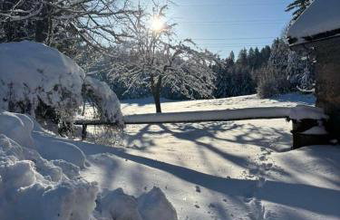 Nonićeva Hiža - Foto 37