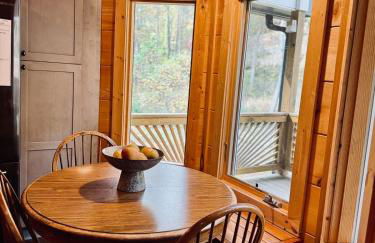 Mountain Cabin & Creek-Front Nature Retreat NC - Foto 23