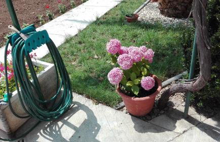 Apartments Tomas - Foto 24