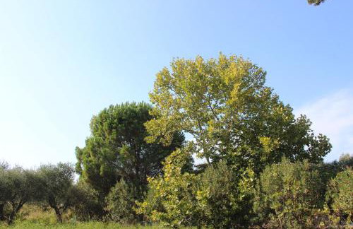 Sea Breeze - Foto 25