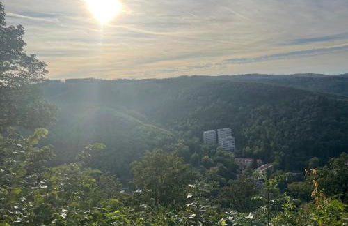 Apartment Bellevue Bad Harzburg - Photo 13