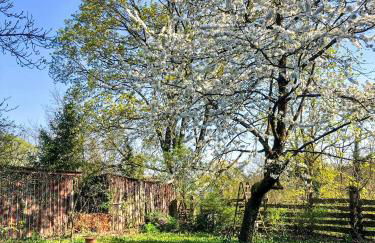 Charming Villa With A View Of Schermützelsee - Foto 26