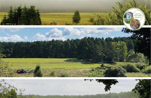 Entspannungszeit am Kluger See - Foto 13