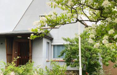 Ferienhaus Zur Waldfee - Foto 9