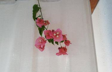 Iro's Cute House - Foto 23