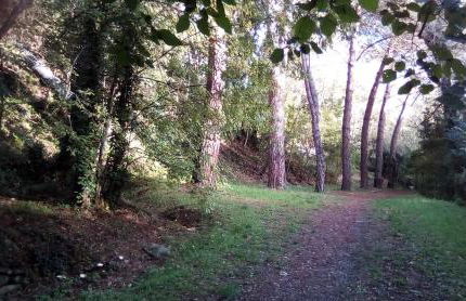 Maison Chêne Liège - Foto 16