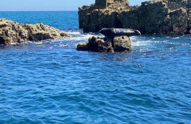 TY LOUIS Au dessus du port & de la plage de Loguivy - Foto 33