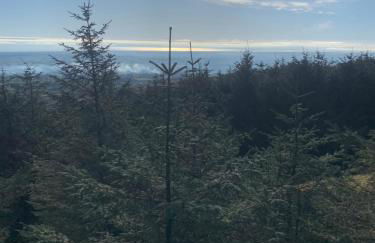 Half Pint Cottage - Foto 14