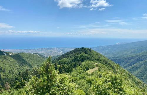 ECO VILLA OLYMPUS with sauna and swimming pool - Foto 42