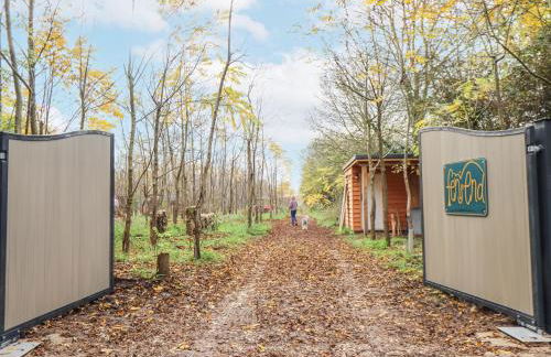 Catchwater - Foto 20