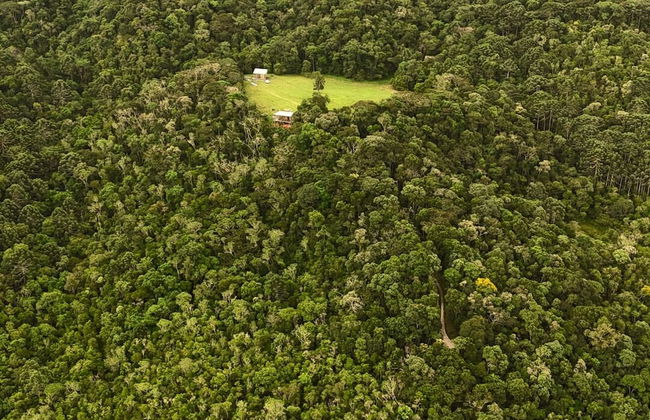 Clareira Cabanas - Photo 23